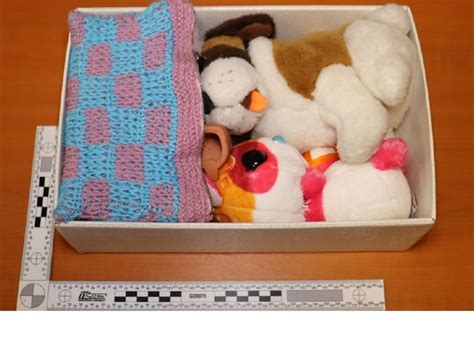 Porovnanie vyšívaných a plastových očiek na plyšových hračkách