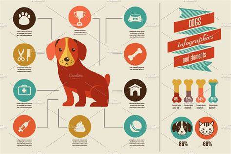 https://example.com/amstaff-doginfographic.png