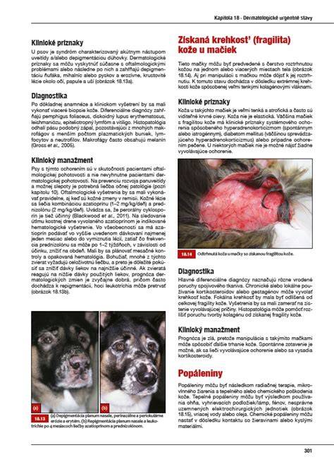 Infografika: Správanie psa a prvé kroky pri kritickej situácii
