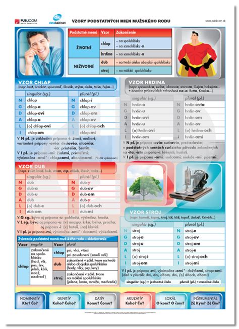 Infografika o vzoroch podstatných mien mužského rodu