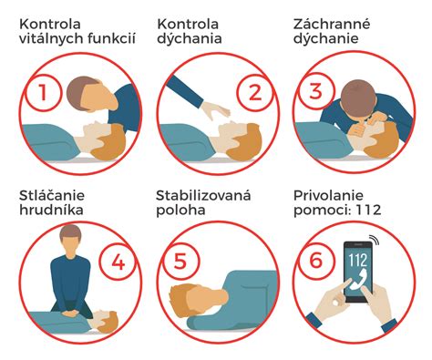 Infografika: Postup prvej pomoci pri uhryznutí psom a čo robiť okamžite