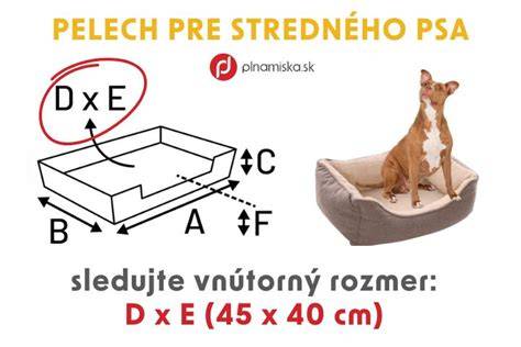 Infografika: Ako vybrať ideálny pelech pre psa (kroky a tipy)