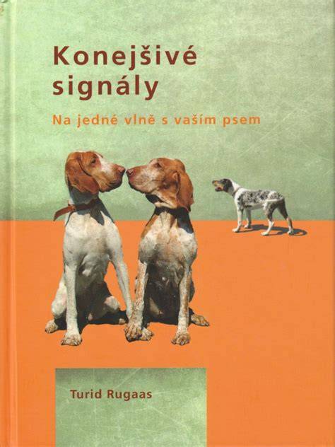 Infografika: Konejšivé signály psa - signály očný kontakt, chvost, poloha tela