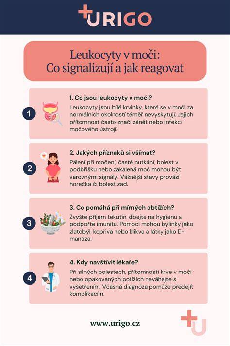 Infografika: Dojmy a signály psieho kňučania a ako na ne reagovať