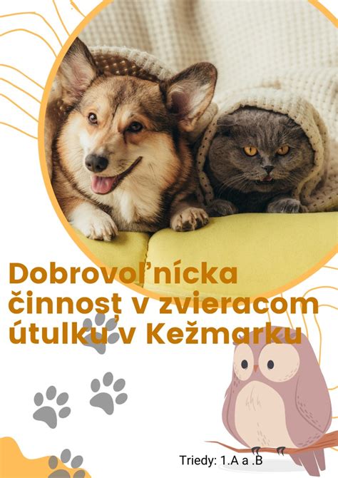 Ilustrácia psieho penisu v stave parafimózy