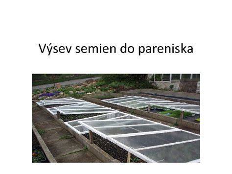 Schéma percentuálneho vyklíčenia semien
