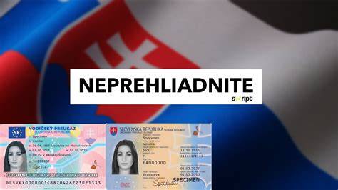 Riešenie nájdeného psa: doklady a identifikátory