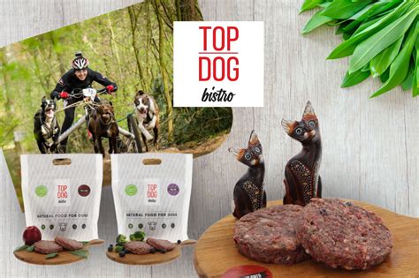 Ilustrácia porovnávajúca zloženie komerčného krmiva a BARF stravy