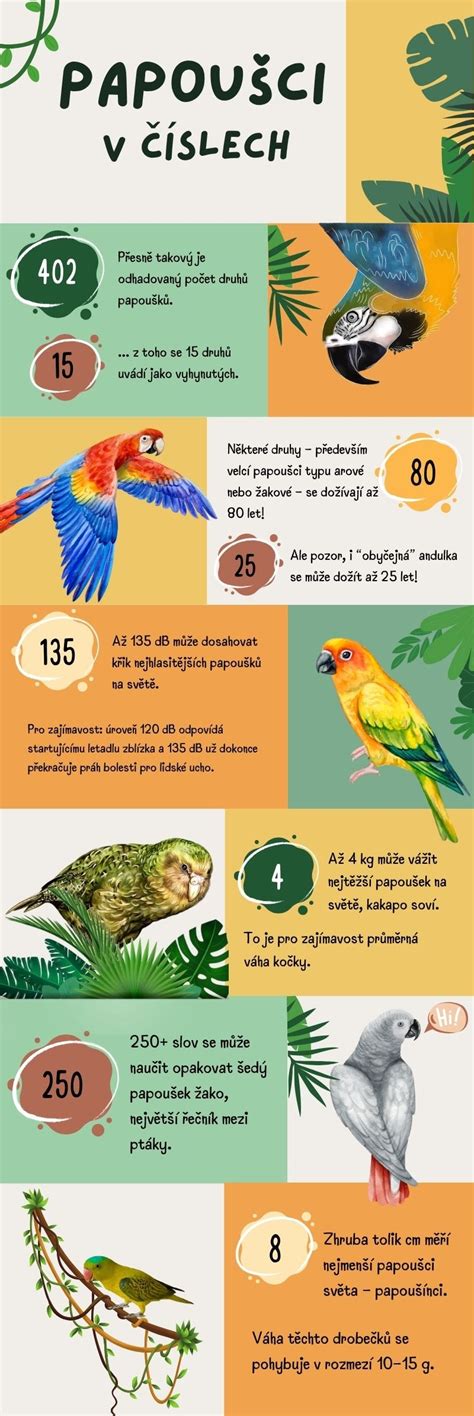 Infografika o potenciálnych patogénoch v surovom mäse a bezpečnostných opatreniach