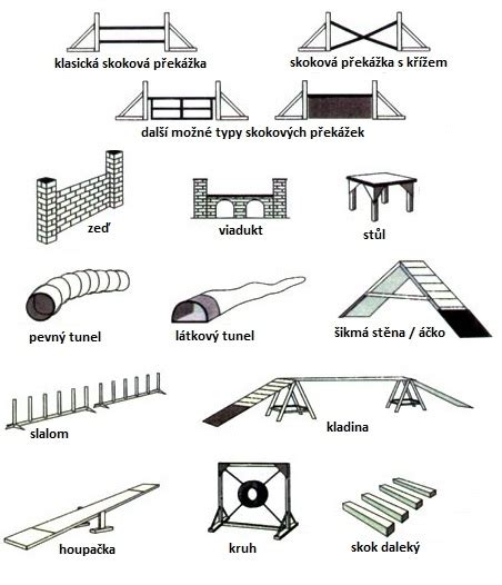 Prekážky v agility