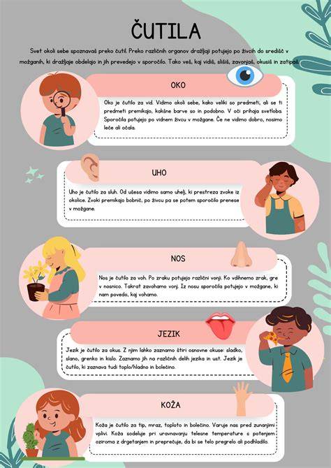 Infografika typu baset: telo a proporcie, dĺžka uší a krk