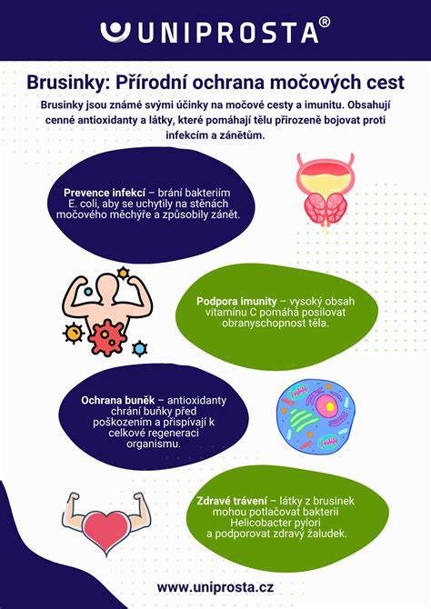 Infografika: Cesty pátracej kampane a kontaktov na záchranárov