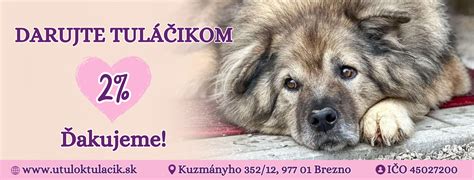 Obrázok zdravého psa s jasnými očami