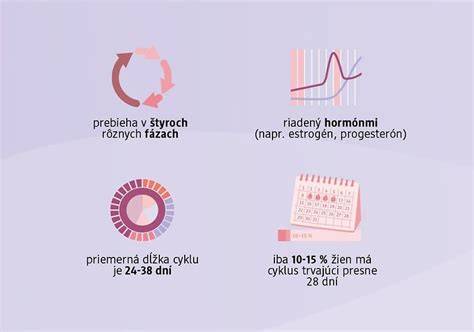Infografika: Fázy hárania feny a ich trvanie
