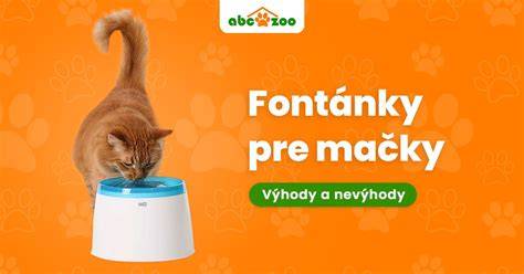 Infografika: typy obojkov pre mačky, ich výhody a nevýhody