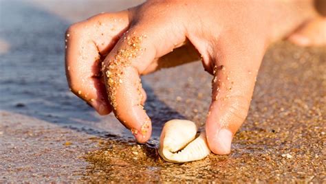 Detská ruka hladká psa