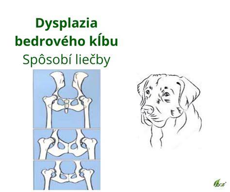 Ilustrácia artrózy a dysplázie kĺbov u psov