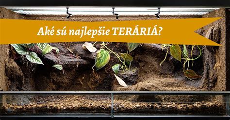 Štruktúra terária pre veľhada kráľovského