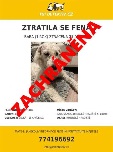 Detail zapínania a oblasti kamienkov na obojku