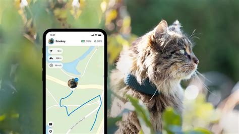 Porovnanie vybraných GPS obojkov pre mačky - graf