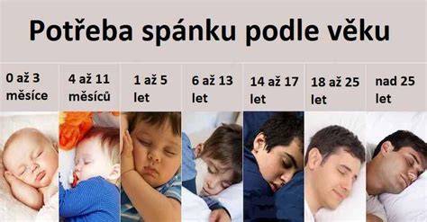 Infografika: Rôzne štádiá veku šteniat a odporúčané frekvencie kŕmenia