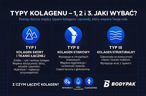 Infografika: typy nástenných hodín a ich štýlové zaradenie