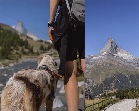 Výbava na turistiku so psom