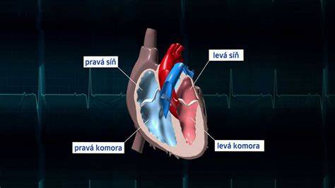 Obrázok anatomickej oblasti vpichu a typických reakcií