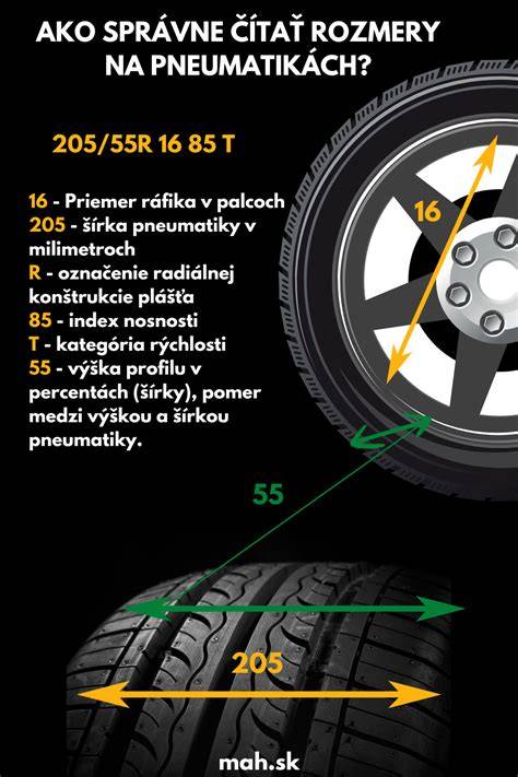 Infografika: Správne rozmery búdy a tipy na výber