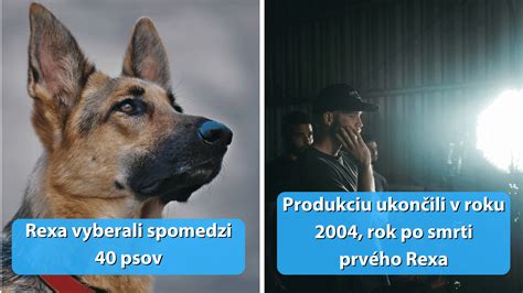 Infografika o postupnosti hercov a psích predstaviteľov v Komisár Rex