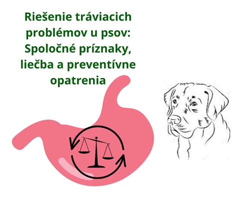 Ilustrácia psa s tráviacimi problémami