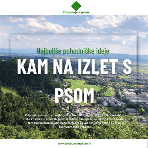 Fotografia spoločných chvíľ na výlete s psom