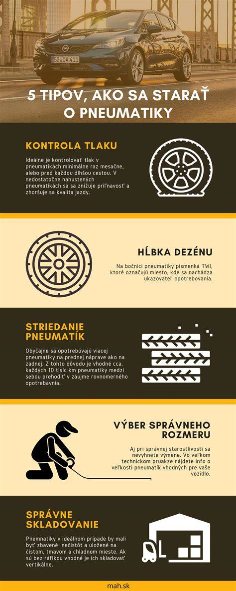 Infografika: Ako sa starať o srsť yorkshirského teriéra - kľúčové kroky