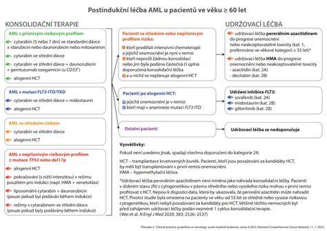 Infografika: Komplexný plán zvukovej terapie pre psy (hudba, hlasitosť, čas, prostredie)
