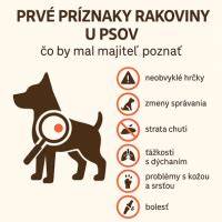 Infografika: Typy rakoviny kože u psov a základné rozdiely