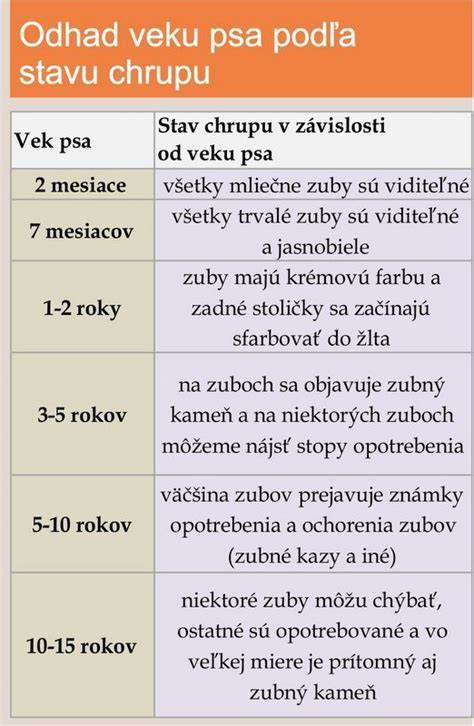 Infografika: Porovnanie veľkých a obrích plemien, ich potreby priestoru a pohybu