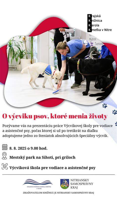 Ilustračná infografika o moderných metódach výcviku psov