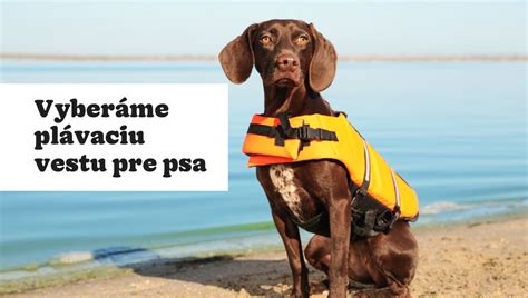 Ukážka vzoru vesty pre psa