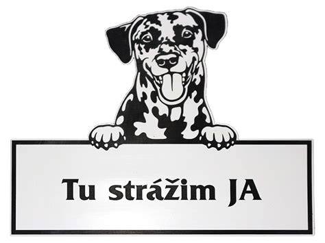 Omaľovánka na vankúši s motívom psa
