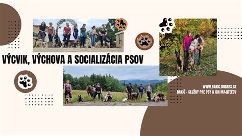 Výchova a socializácia Akity