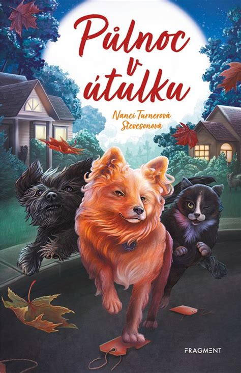 Ilustrácia kuchynky v útulku