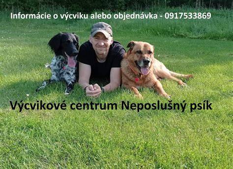 Ilustračná fotografia psov s rôznymi typmi obojkov