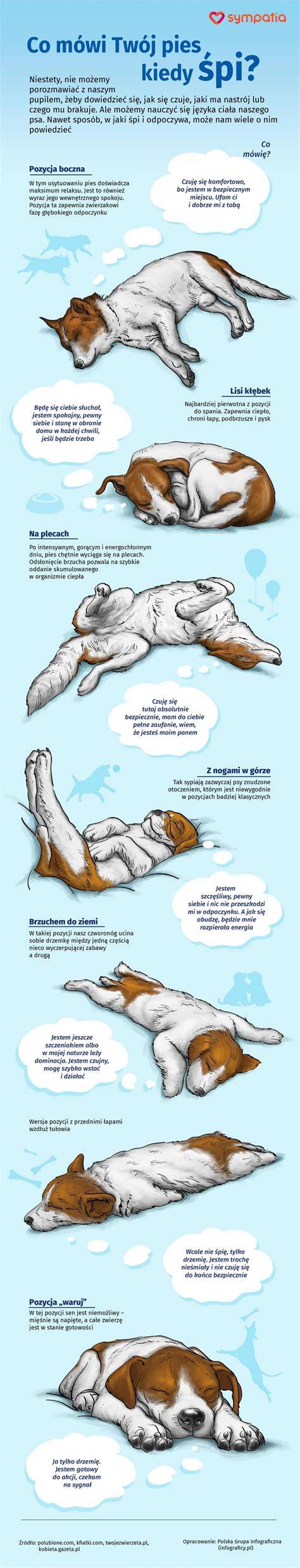 infografika_prehľad_postáv_Show_Dogs