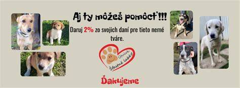 Infografika: kontrolný zoznam pre zváženie prítomnosti druhého psa