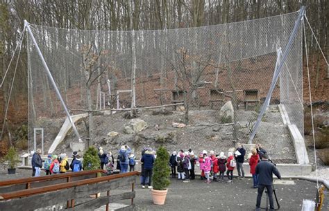 Štýlová moderná voliéra v záhrade