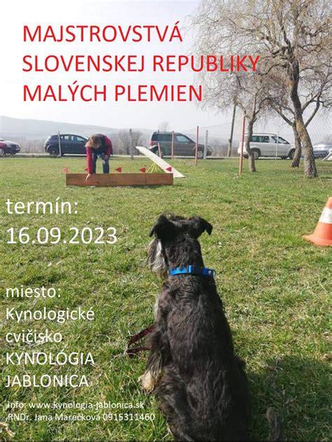 Infografika: Rozdelenie veľkých a malých bielych plemien podľa veľkosti a potreby pohybu