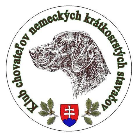 Infografika: Všeobecné rysy nemeckého drôtosrstého stavača (veľkosť, srsť, proporcie, charakter)