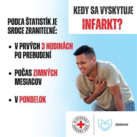 Infografika: Ako pĺznutie súvisí s ročnými obdobiami, faktory ovplyvňujúce množstvo chlpov a tipy na starostlivosť