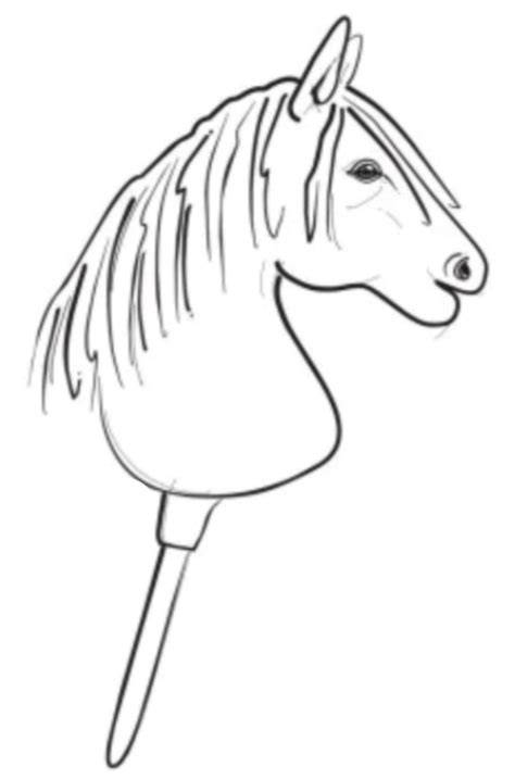 Infografika: Ako vyzerá hobby horse a jeho časti