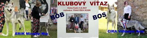 Obrázok: moderný portrét československého vlčiaka a bígla v teréne